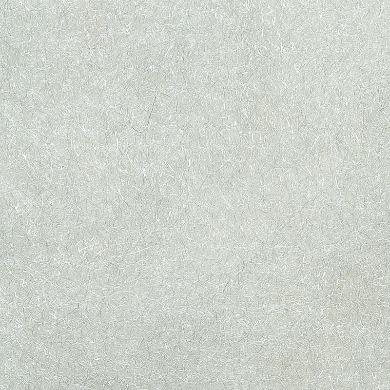 Даббинг WAPSI Antron (001/White)